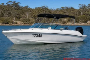 Tasmania Boat Registration Stickers for White Hull Tasmania Black Rego Stickers